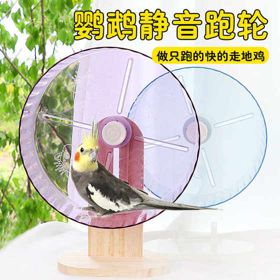 鹦鹉跑轮静音小太阳虎皮牡丹小鸟锻炼训练啃咬解闷玩具解压用品