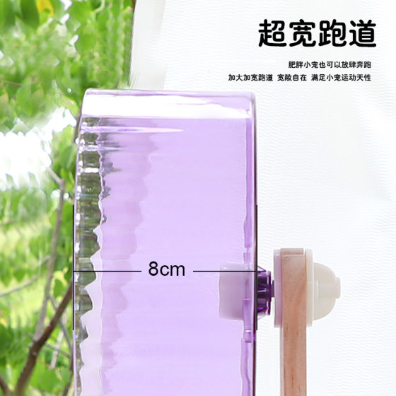 鹦鹉跑轮静音小太阳虎皮牡丹小鸟锻炼训练啃咬解闷玩具解压用品