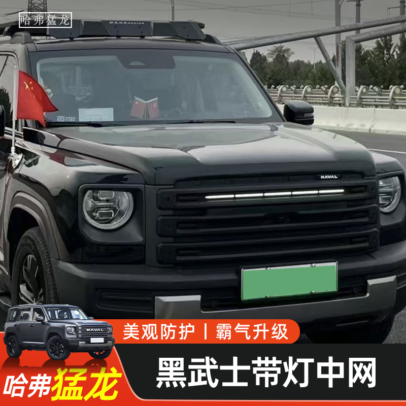 Haval Raptorsグリル防虫ネットブラックウォリアーグリルライトブラックライトバー付き小さな黄色のライト改造装飾アクセサリー