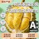 JXSD Thai Golden Pillow Durian Frozen Meat SF Class A Quality Liquid Nitrogen Extremely Fast Freezing Tree Ripe Fruit Meat Frozen