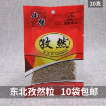 Northeast Xiaoqiang BBQ Cumin Granule Powder 20g Korean Barbecue Seasoning 10 Bags Yakitori Lamb Skewers Sprinkled