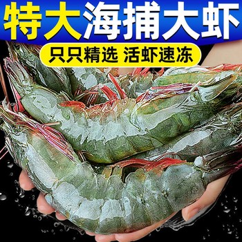 Fresh quick-frozen qingdao prawns sf flash delivery