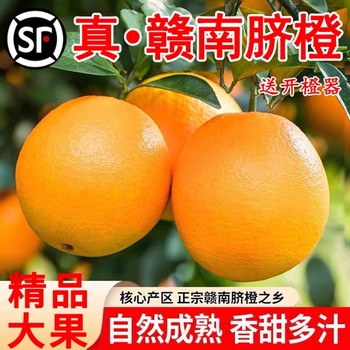 Authentic gannan navel oranges, jiangxi ganzhou navel oranges, fresh oranges, large fruit farms, straight hair for pregnant women, hand peeled orange orchards