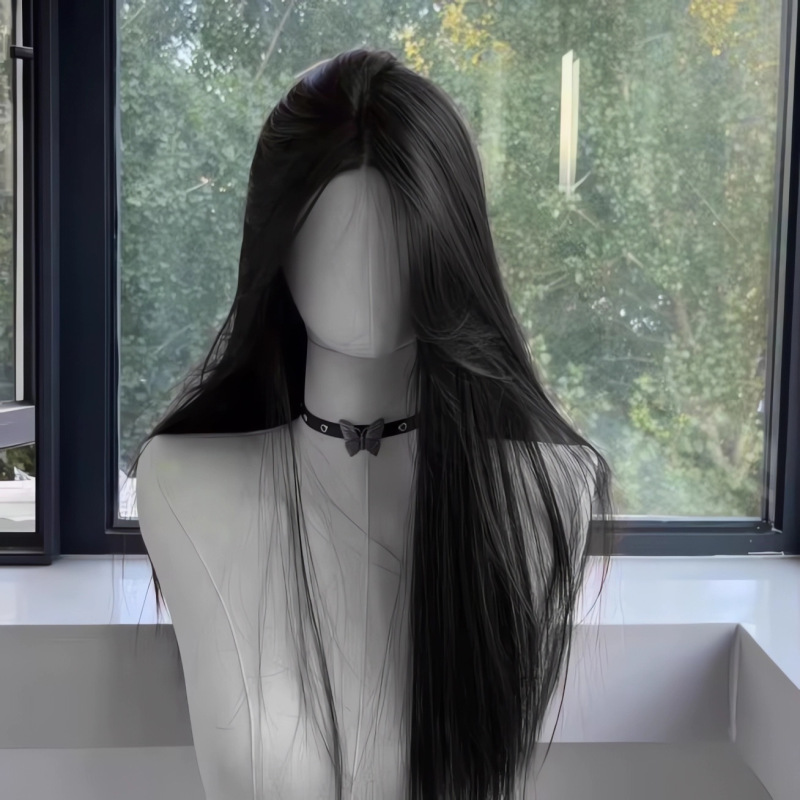 Black Wig for Women, Long Hair, Middle Parting, Elegant Black Long Straight Hair, High-End Feel, Natural Lace Front, Fluffy Black Wigs