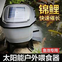Solar Koi Automatic Feeder Fish Feeder Outdoor Fish Pond Fish Tank Automatic Feeder Timing Feeder Manufacturer