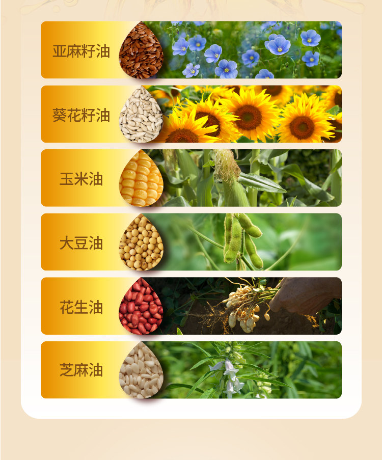 安享好物 安享B级调和油-福临门色香味调和油 企标