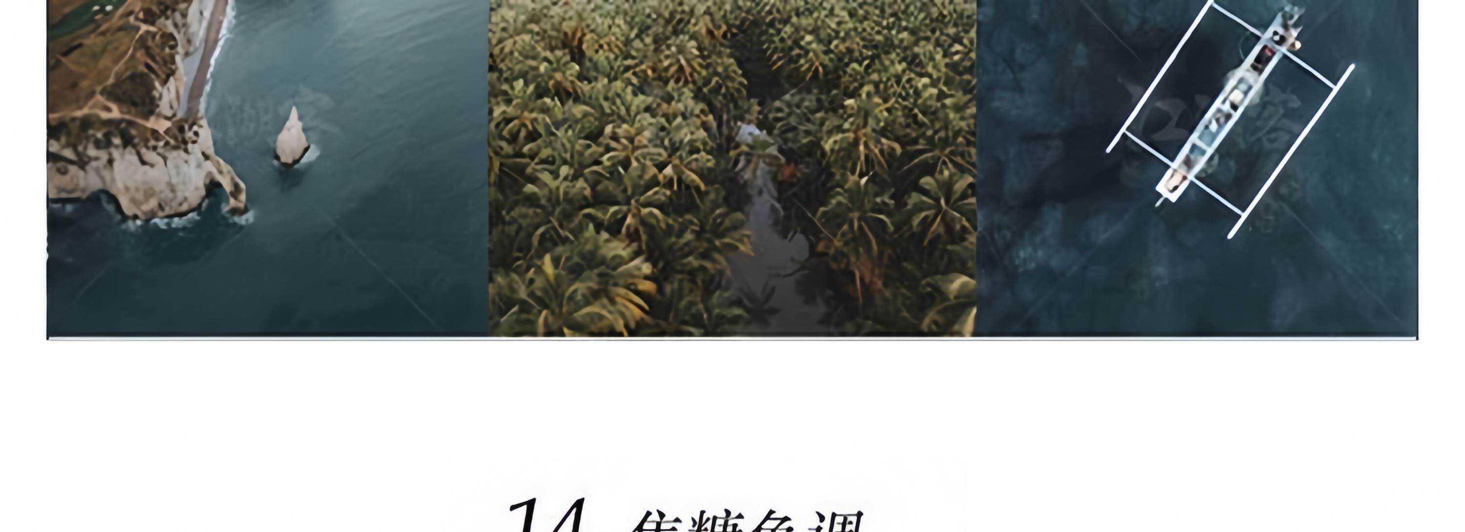 LR预设PS滤镜插件PR调色手机Lightroom达芬奇FCPX剪映LUT日系人像