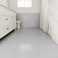 Moon White [щетка 0,5 л около 2-3 квадратных метров 2 раза] Добавлен инструмент строительства+сшитый агент