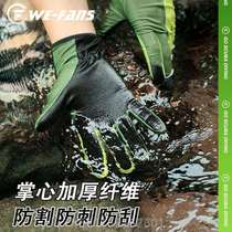 Injury anti-slip special surfing glove pulp board sunscreen anti-spinner for sea special snorkeling UPF50 diving anti-cutting gloves