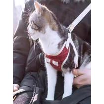 Cat leash kitten walking rope kitten anti-breakaway chain comfortable material cute vest-style cat rope