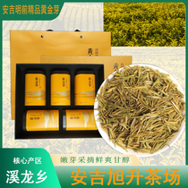 Anji Golden Bud Tea 2024 New Tea Mingqian Boutique Tea Boutique Rare Milk White Tea Bulk Canned Gift Box