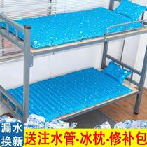 Ice cushion cushion water bed summer student dormitory single water mattress double home sofa water-filled cold water mat cushion