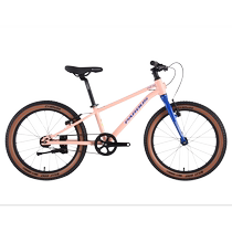 Leopard PARDUS flat to take the travel mountain bike FUN 20 speed baby carrier city leisure commuter bike