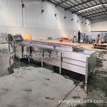 Pleurotus eryngii cleaning equipment, leafy vegetable cleaning machine, commercial bubble cleaning machine, wave cleaning machine