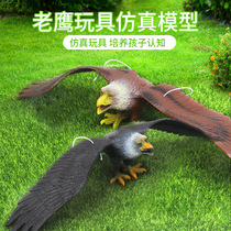 Bird-catching home balcony bird-scare outdoor bird-proof eagle bird-repelling eagle model dummy for scaring birds