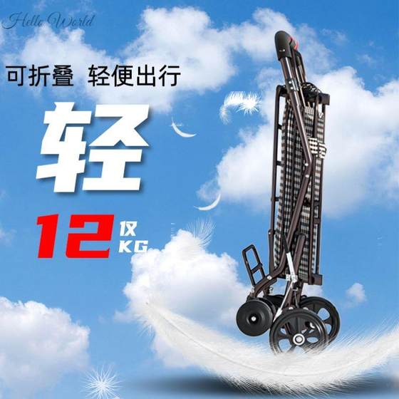 速发老年人代步小推车座椅可推可坐四轮小推车家用购物轻便两用手