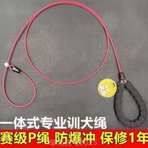 pHusky wire rope chain going out for a dog walk a dog leash a traction rope a Labrador dog a cat explosion-proof