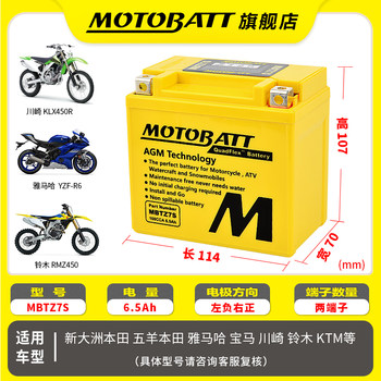 Baite yamaha 155 qiaoge 125 battery