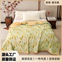 New machine washable printed single and double summer quilt air-conditioned quilt summer cool quilt source factory live broadcast