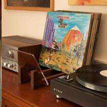 Vinyl record rack storage display wooden rack lightweight classical old desktop book magazine large capacity CD rack