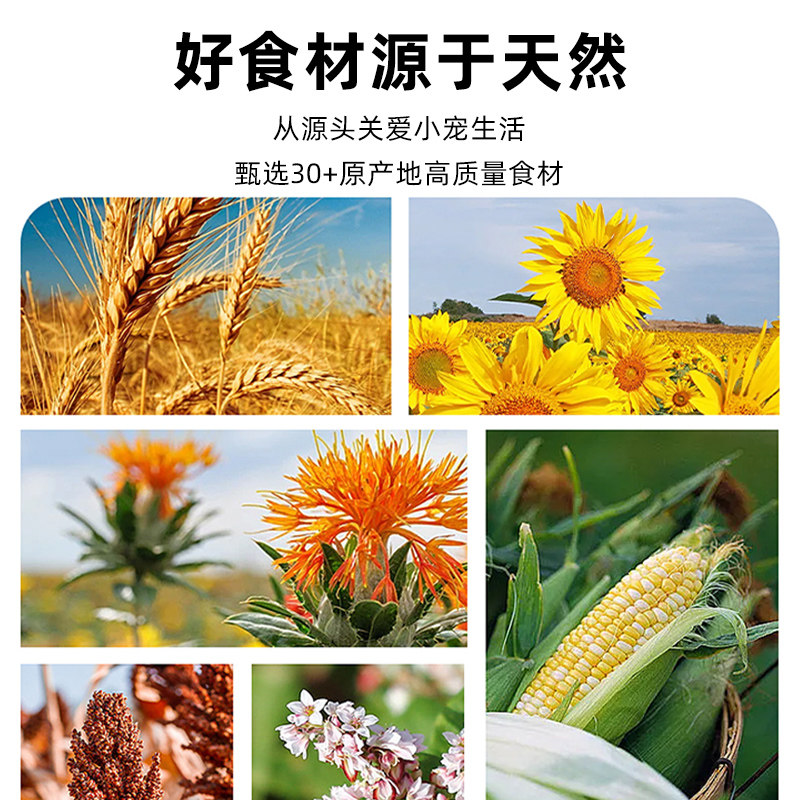 花枝鼠主粮怎么选?五谷饲料避坑指南来了!-其它宠物粮食-淘宝百科网