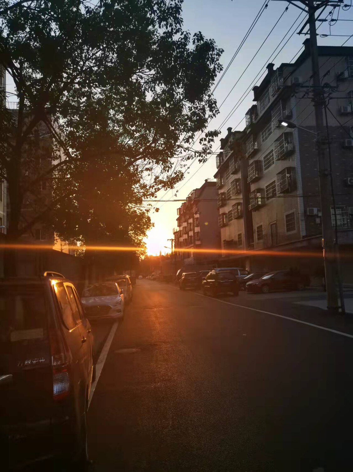 怡丰鸿运店