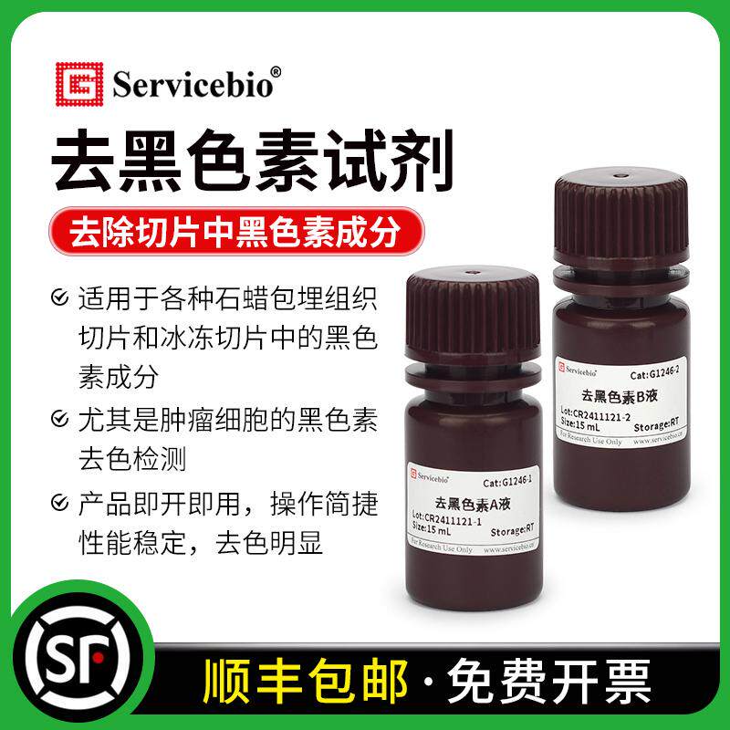 赛维尔 去黑色素试剂 去除石蜡切片冰冻切片肿瘤细胞的黑色素成分