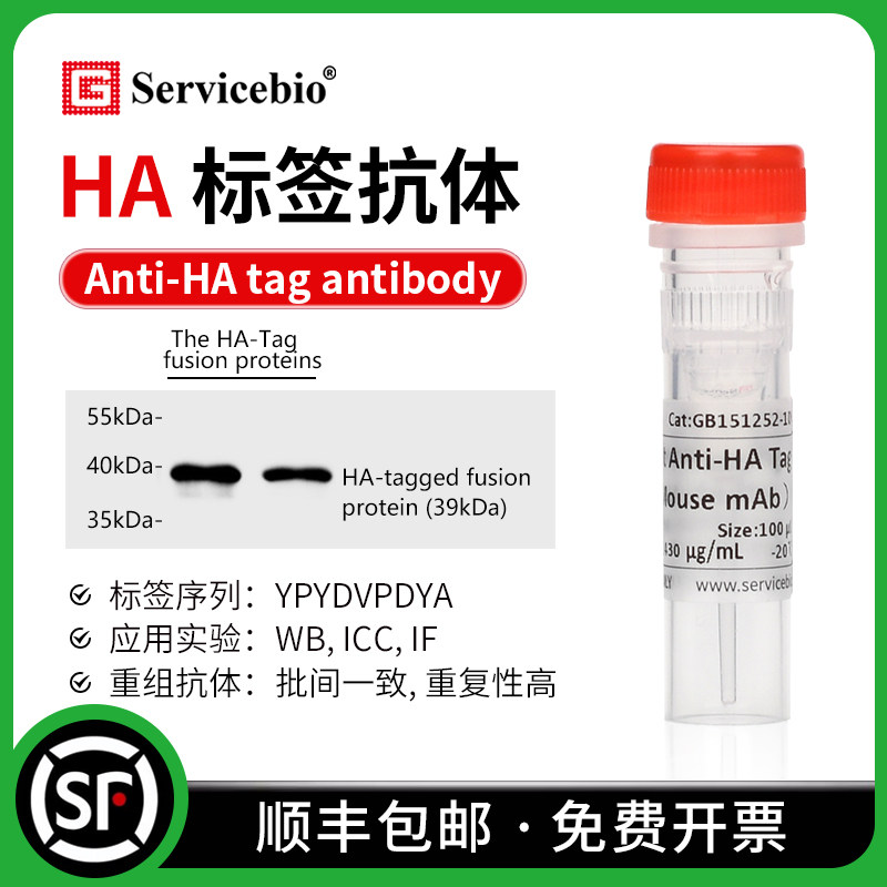 HA 标签抗体 Anti-HA Tag antibody YPYDVPDYA标签 小鼠 兔mAb