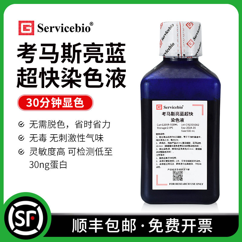 赛维尔 考马斯亮蓝超快染色液 PAGE蛋白胶染色 无需脱色灵敏度高