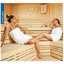 TYLO sauna furnace steam room dry steam furnace internal control and external control steam sauna equipment digital display electric sauna furnace