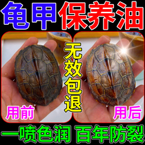 Turtle shell maintenance oil turtle armor oil special for cultural toys chicken claw bones camel bones horn teeth jade paste plate toy artifact