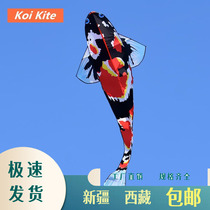 Xinjiang Tibet Weifang Kite New 2022 Large Koi Kite Breeze Easy to Fly Goldfish Master