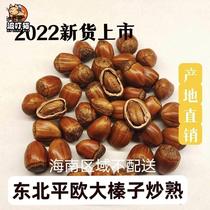 2023 New Arrivals Roasted Large Hazelnuts with Shells Large Hazelnuts Huanren Direct Selling Price from Origin
