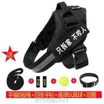 Labrador chest traction rope Teddy dog chain walking dog gold hair in dog