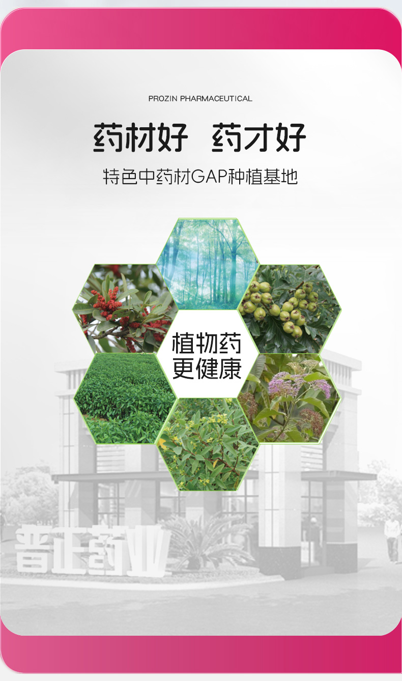 【中国直邮】普正    红花逍遥片  月经不调  黄褐斑乳房胀痛  疏肝解郁   活血调经  0.39g*24片/盒