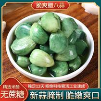 Shandong Tproduction Rafic 8 garlic Shandong Tefic 250g bagged green garlic sour sweet garlic fresh pickled garlic head sugar vinegar curing
