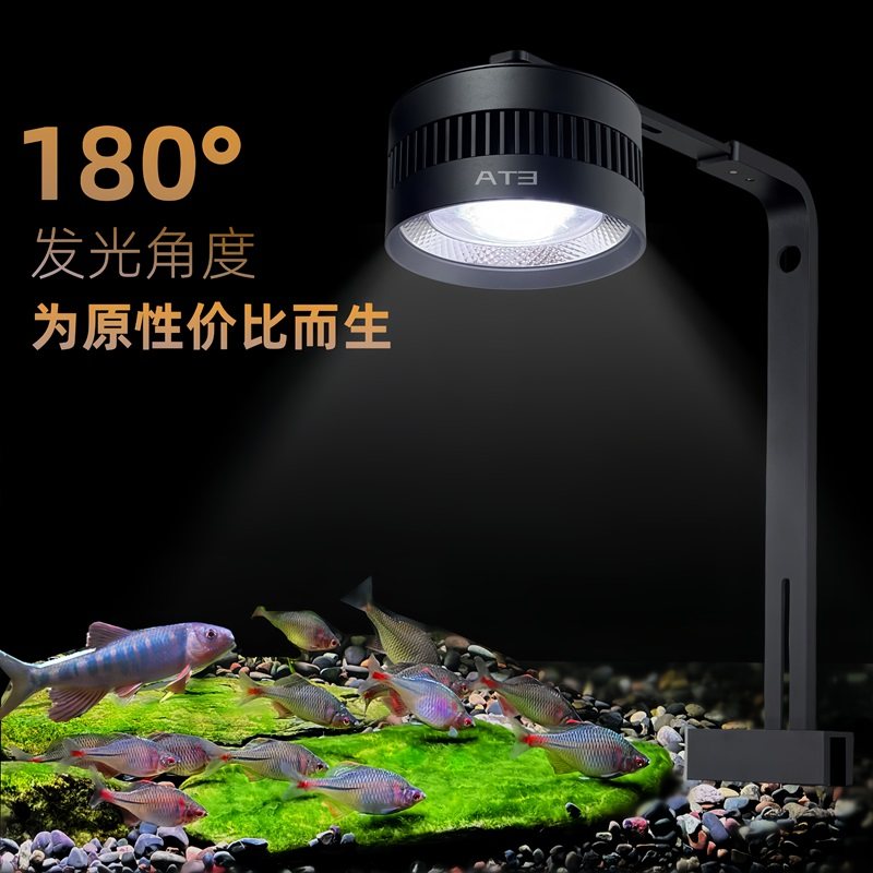 フルスペクトル藻類開花ライトは、金魚の色を鮮やかにし、緑藻の成長を促進します。これらは水槽専用の特殊なライトで、自然な渓流の景観を演出するために設計されており、ペンダントライトやスポットライトとしてよく使用されます。