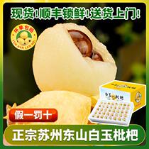 (Sold out) Suzhou Dongshan White Jade Loquat There are also other high-quality fruits in the store ~ ​​welcome to buy