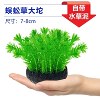 【Принесение базы питания ❤】 Стороночная трава большая кусочная трава