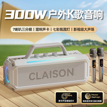 300W Home Ktv Audio Set Karaoke Microphone All-In-One Bluetooth Speaker Portable Outdoor Subwoofer