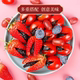 Dried Plum Strips with Cherry Tomatoes, Dried Plum Snacks, Official Flagship Store, Fruit Slices, No Additives, Plum Fruit Shop Exclusive