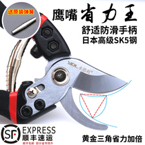 Japanese imported Makita scissors for cutting branches Japan SK5 steel powerful fruit shears ydl garden gardening shears labor-saving