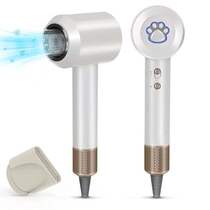Hair Dryer Negative Ionic High-Speed Blow Dryer Profess