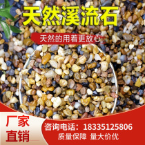 Hunan floor heating backfill pea stone floor heating leveling pebble filter material small pebbles succulent potted fish tank swamp