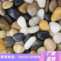 Natural cobblestone paving stone courtyard garden landscaping decoration rain flower stone paving goose soft stone goose warm stone