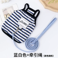 Синие полосы + тяговая веревка [случайно]