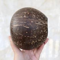 Natural coconut shell old coconut shell small opening smooth coconut shell nursery DIY multi-meat planting flower pot handicraft %