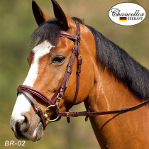 English saddle water reining horse farm equestrian training obstacle membership cowhide horse faucet western