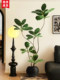 Artistic Decoration for the Entrance and Living Room, Artificial Green Plants for the Sofa Corner and Next to the Tv Cabinet in the Homestay Interior