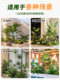 Artificial Green Plant Landscaping Combination for Landscape Window Displays, Courtyard Interior Decoration, Faux Trees and Plants for Entryways and under Stairs